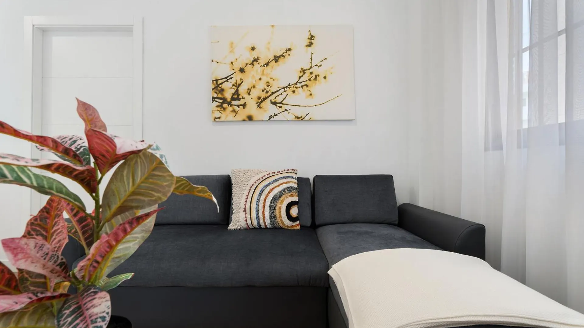 Apartamento Bellavista, Bajo Alcala Guia de Isora  Guia de Isora (Tenerife)