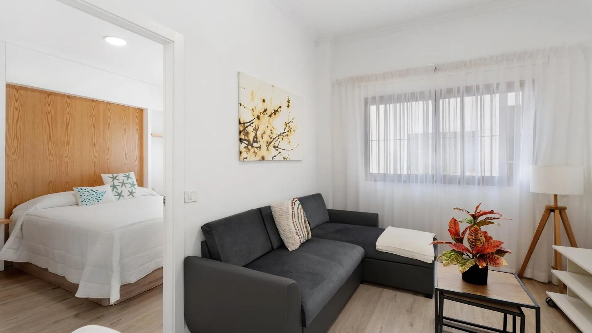 Apartamento Bellavista, Bajo Alcala Guia de Isora  0*, Guia de Isora (Tenerife) Spain