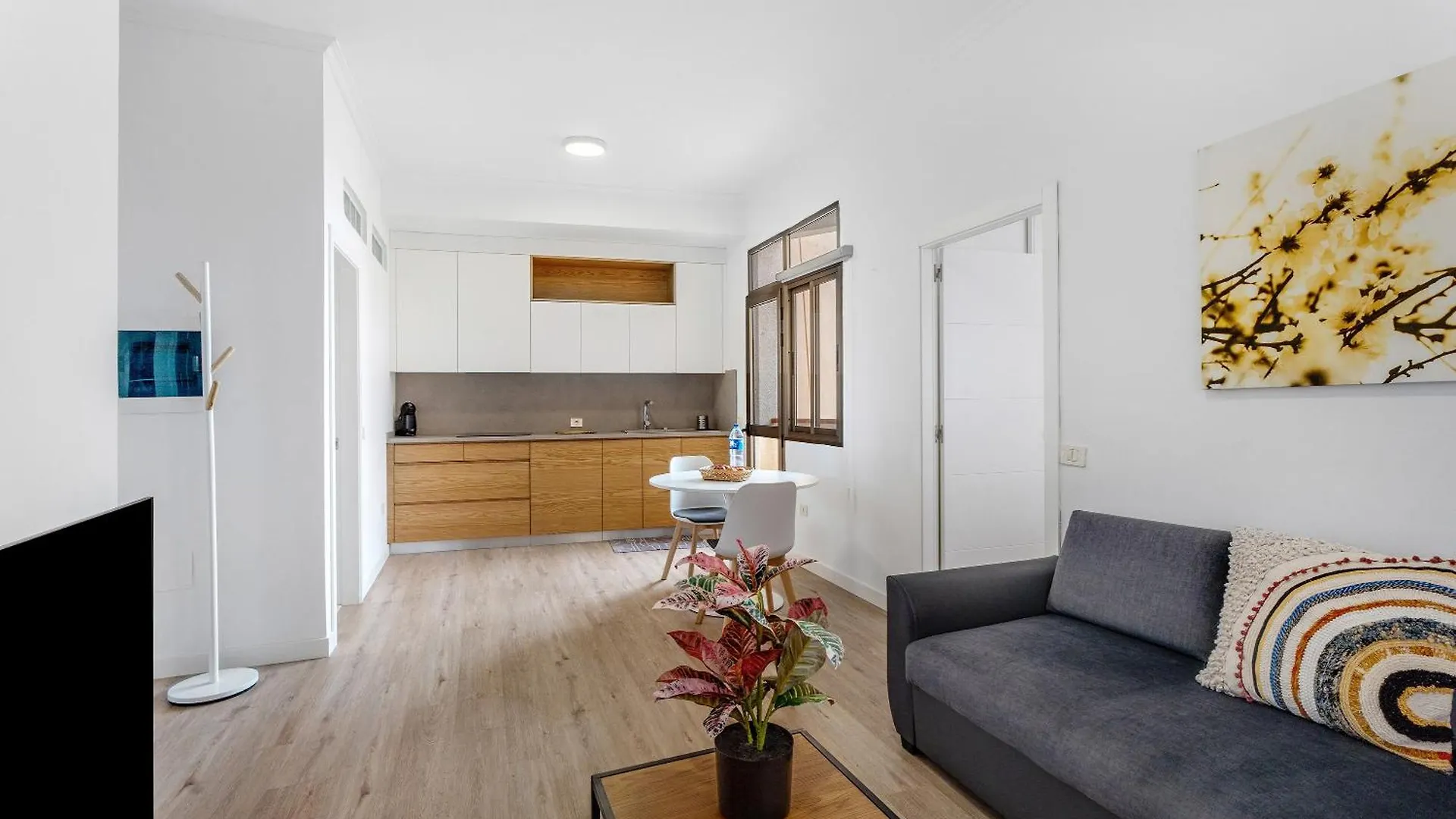 Apartamento Bellavista, Bajo Alcala Guia de Isora  0*, Guia de Isora (Tenerife) Spain